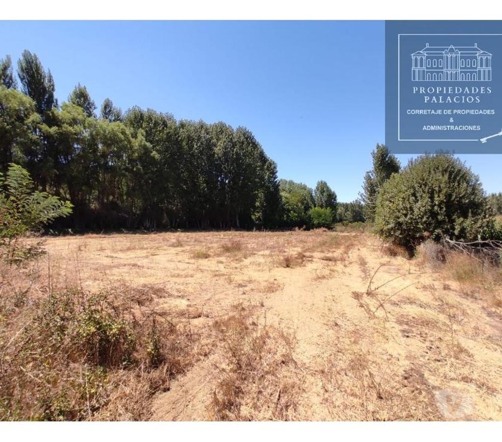 Parcelas en Venta Cachapoal Coltauco - Fotos de Terreno 1 ha, entorno natural y tranquilo