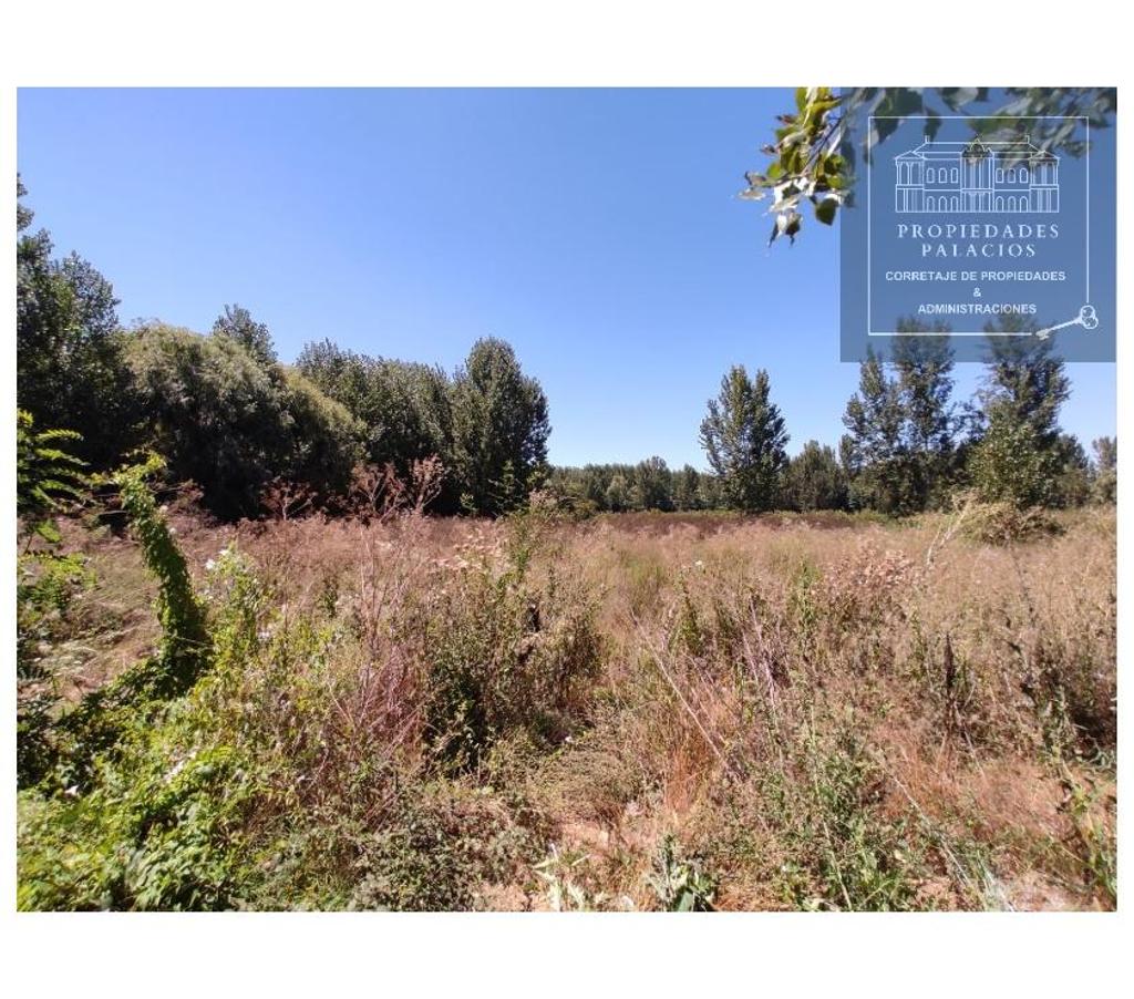 Parcelas en Venta Cachapoal Coltauco - Fotos de Terreno 1 ha, entorno natural y tranquilo
