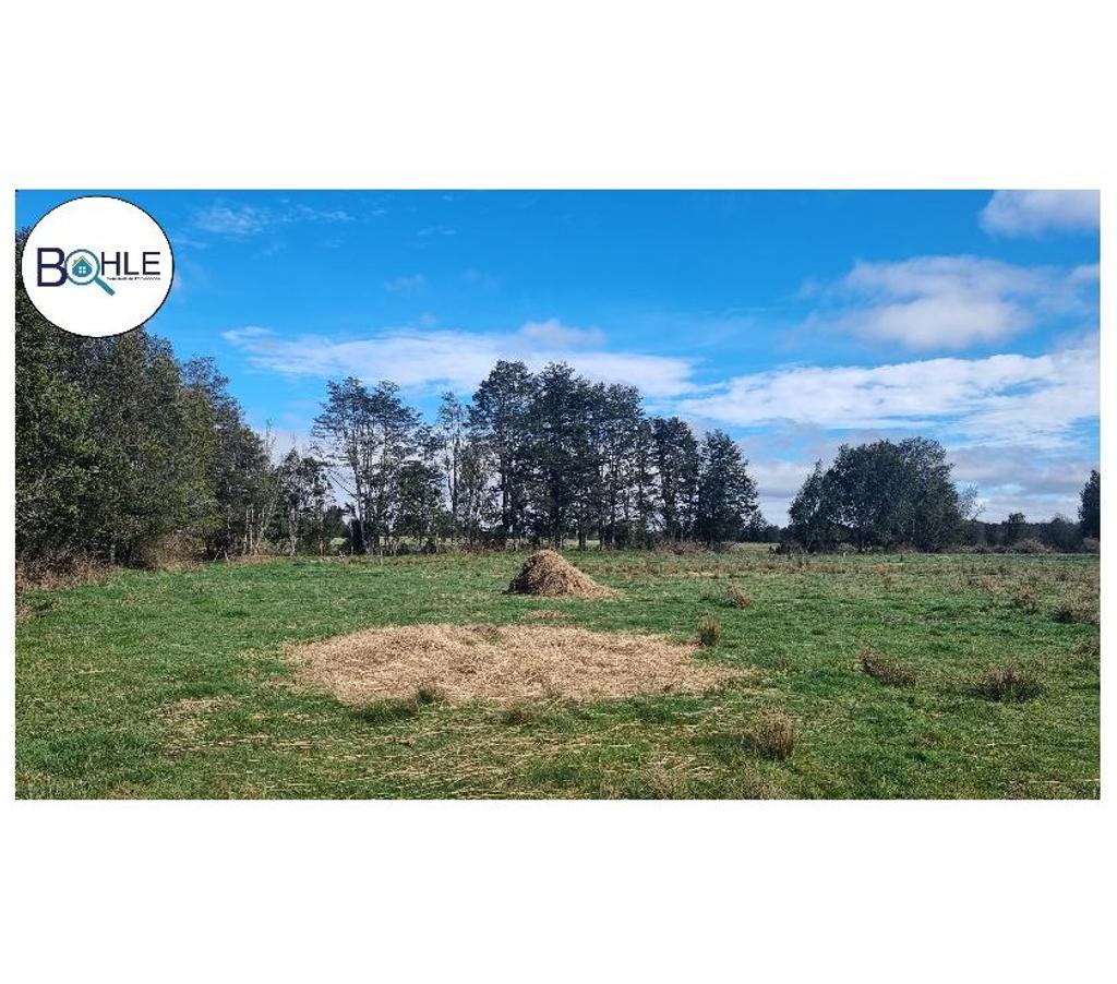 Parcelas en Venta Llanquihue Los Muermos - Fotos de VENDO PARCELAS EN LOS MUERMOS