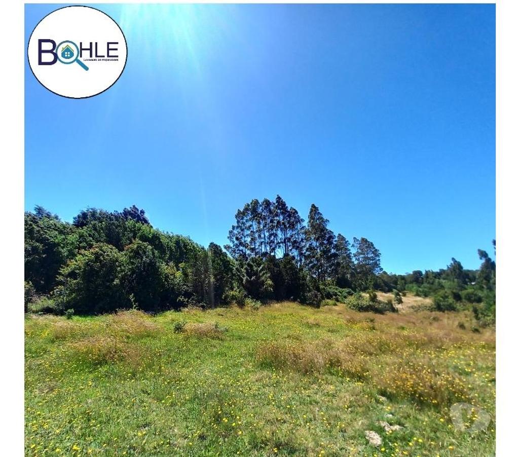 Parcelas en Venta Llanquihue Puerto Montt - Fotos de VENDO - Terreno de 2.35 Ha en ILQUE