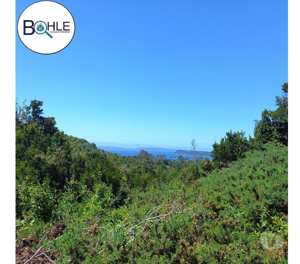 Parcelas en Venta Llanquihue Puerto Montt - Fotos de VENDO - Terreno de 2.35 Ha en ILQUE