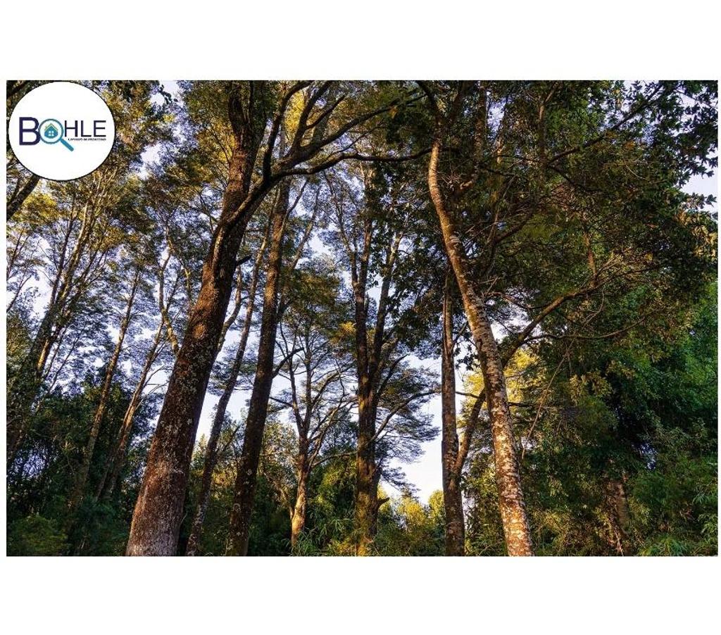 Parcelas en Venta Llanquihue Puerto Varas - Fotos de VENDO – Parcelas Camino a Aeropuerto el Tepual