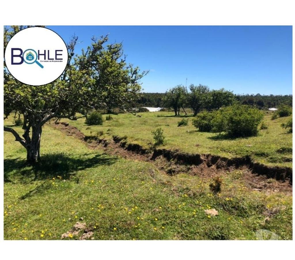 Parcelas en Venta Llanquihue Puerto Varas - Fotos de VENDO – Terreno en Colonia Rio Sur