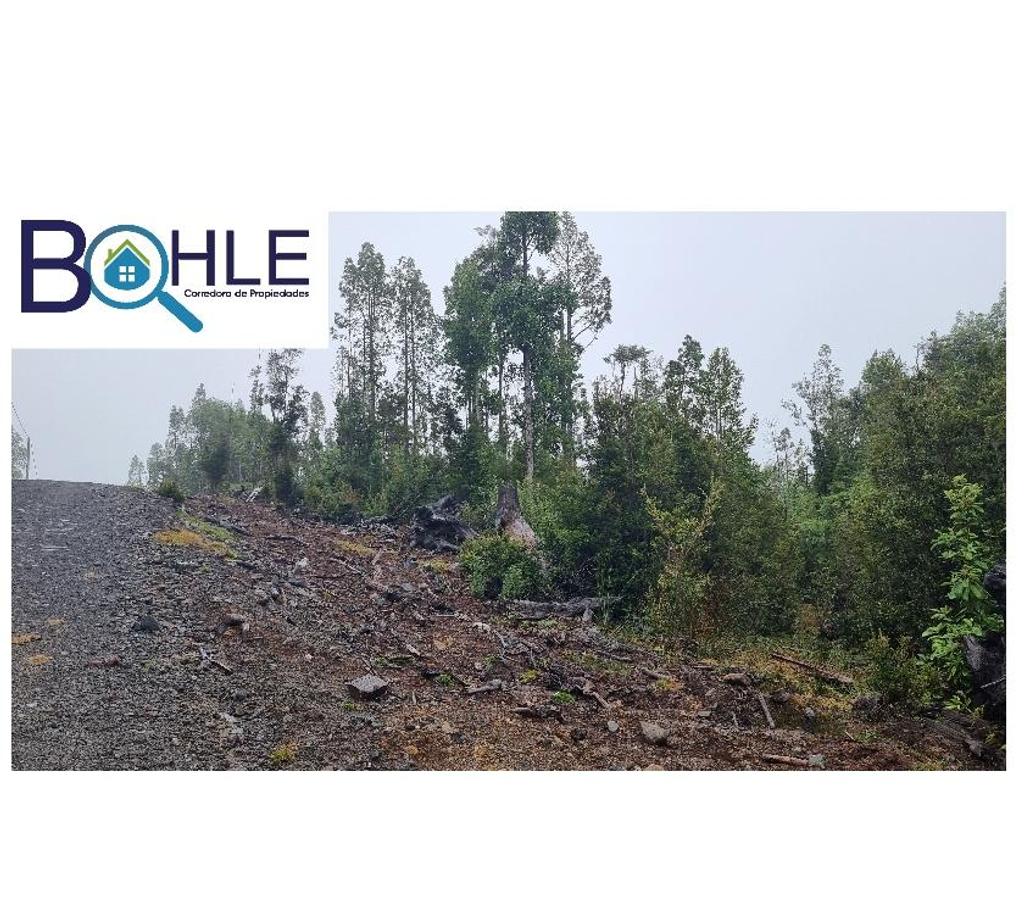Parcelas en Venta Llanquihue Puerto Varas - Fotos de VENDO – Parcela 5000m2 en Colonia Rio Sur Pto. Varas
