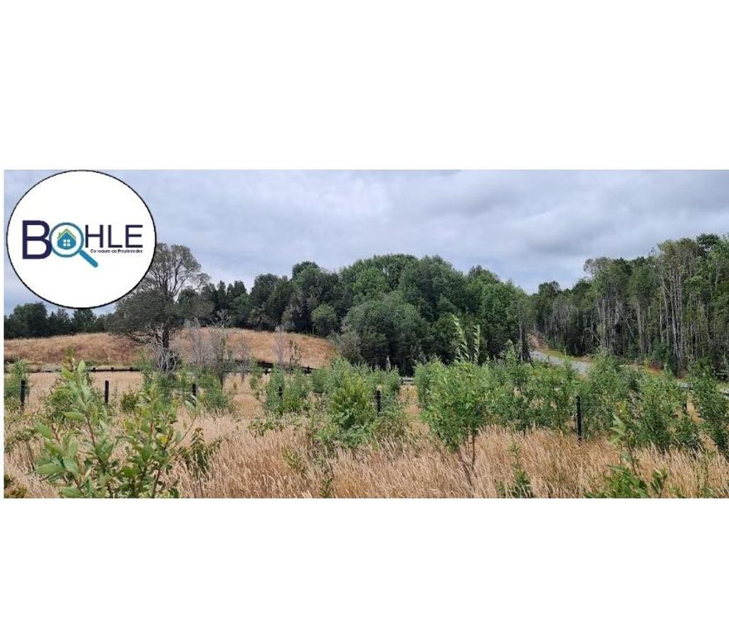 Parcelas en Venta Llanquihue Puerto Varas - Fotos de VENDO - Parcela 5000m2 en Condominio Cumbre Volcanes