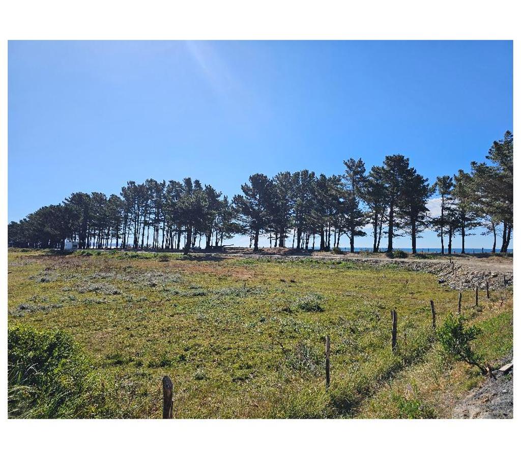 Parcelas en Venta Arauco Arauco - Fotos de PARCELAS CURAQUILLA PLAYA 1 VENTA