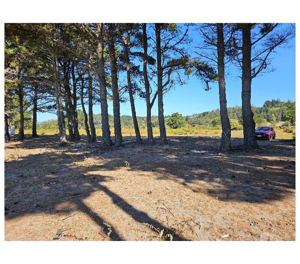 Parcelas en Venta Arauco Arauco - Fotos de PARCELAS CURAQUILLA PLAYA 1 VENTA