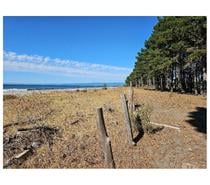 Fotos de CURAQUILLA PLAYA PARCELA1