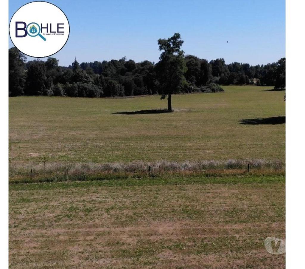 Parcelas en Venta Llanquihue Frutillar - Fotos de PARCELA DENTRO DE PARCELACIÓN UBICADA EN FRUTILLAR