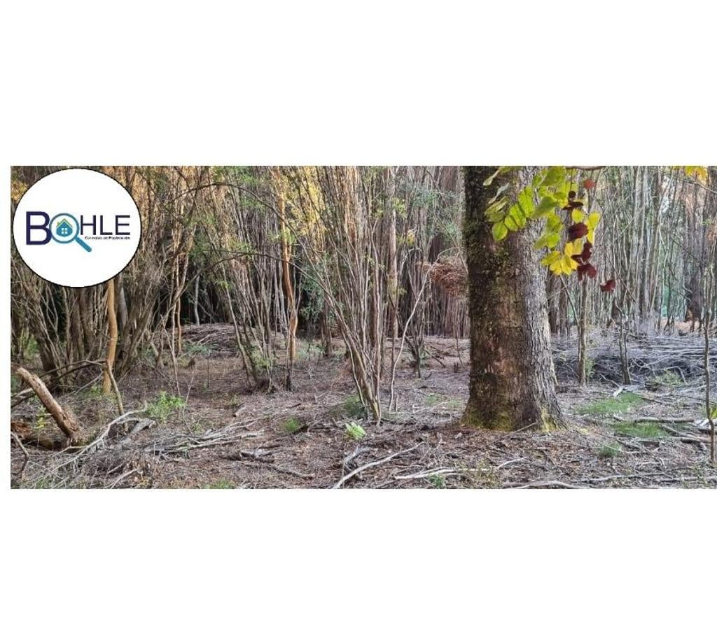 Parcelas en Venta Llanquihue Puerto Varas - Fotos de Hermosa parcela de 5000m2 Camino a Ensenada, Puerto Varas