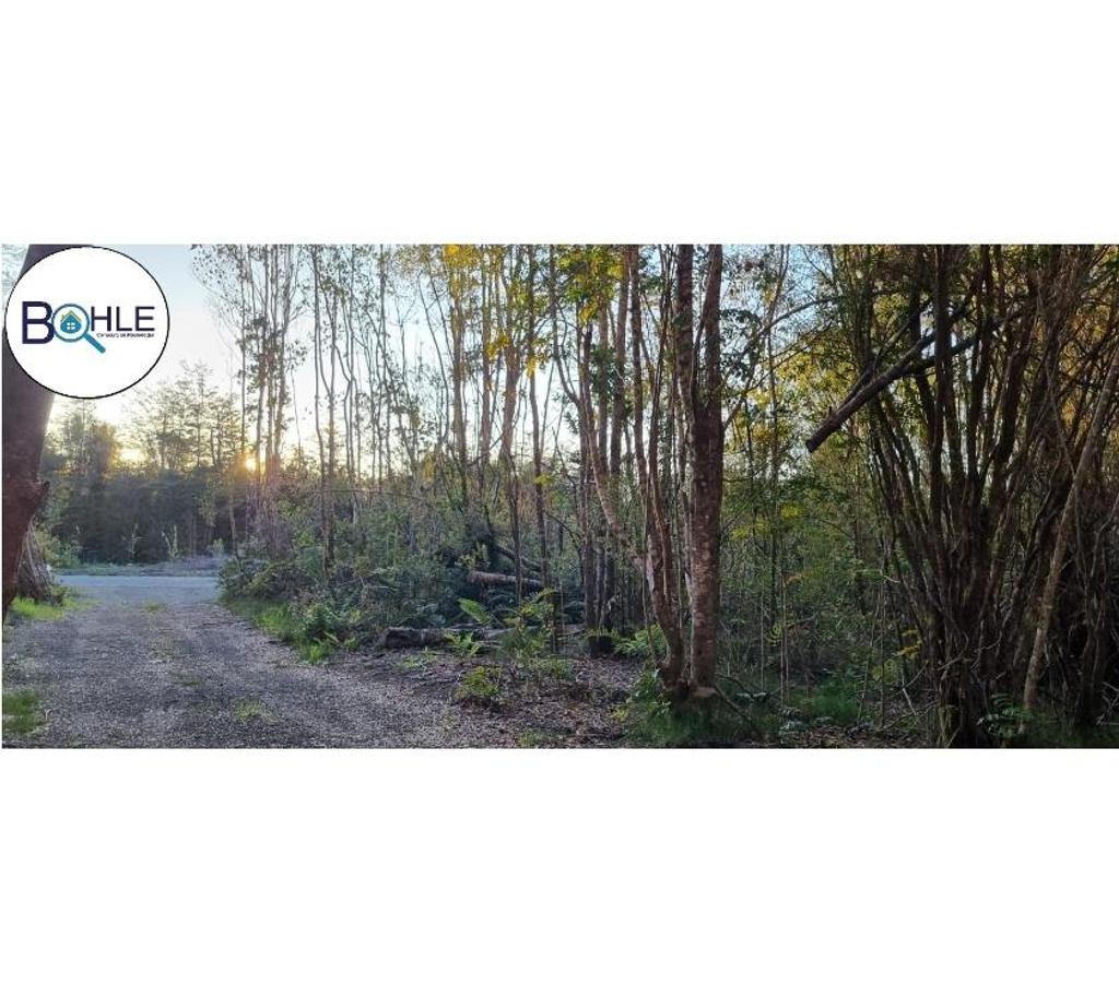 Parcelas en Venta Llanquihue Puerto Varas - Fotos de Hermosa parcela de 5000m2 Camino a Ensenada, Puerto Varas