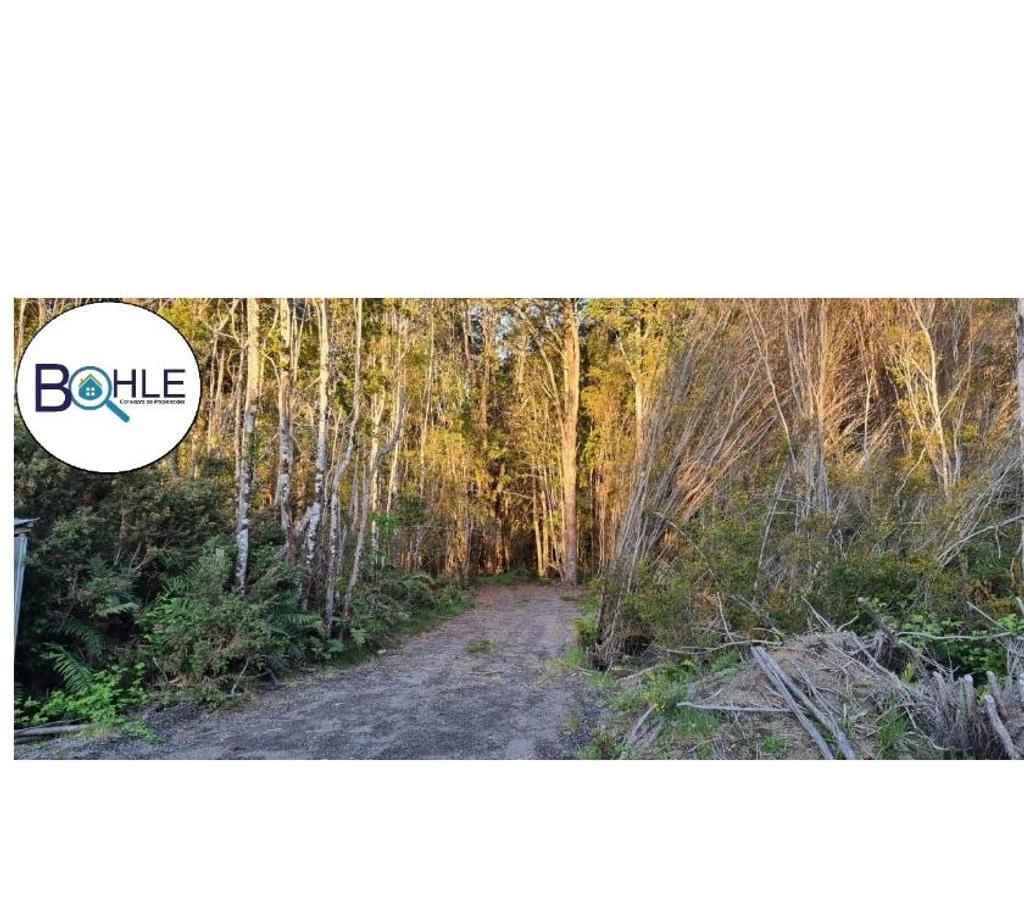 Parcelas en Venta Llanquihue Puerto Varas - Fotos de Hermosa parcela de 5000m2 Camino a Ensenada, Puerto Varas