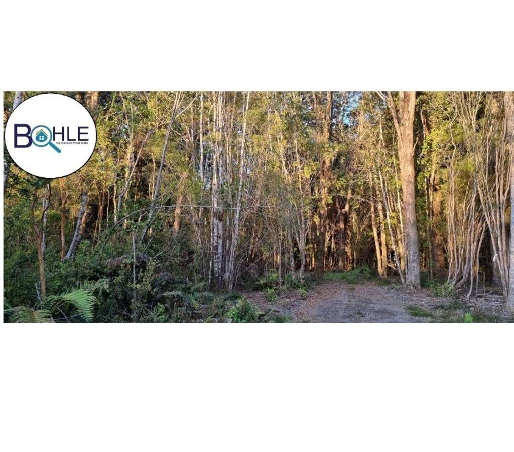 Parcelas en Venta Llanquihue Puerto Varas - Fotos de Hermosa parcela de 5000m2 Camino a Ensenada, Puerto Varas