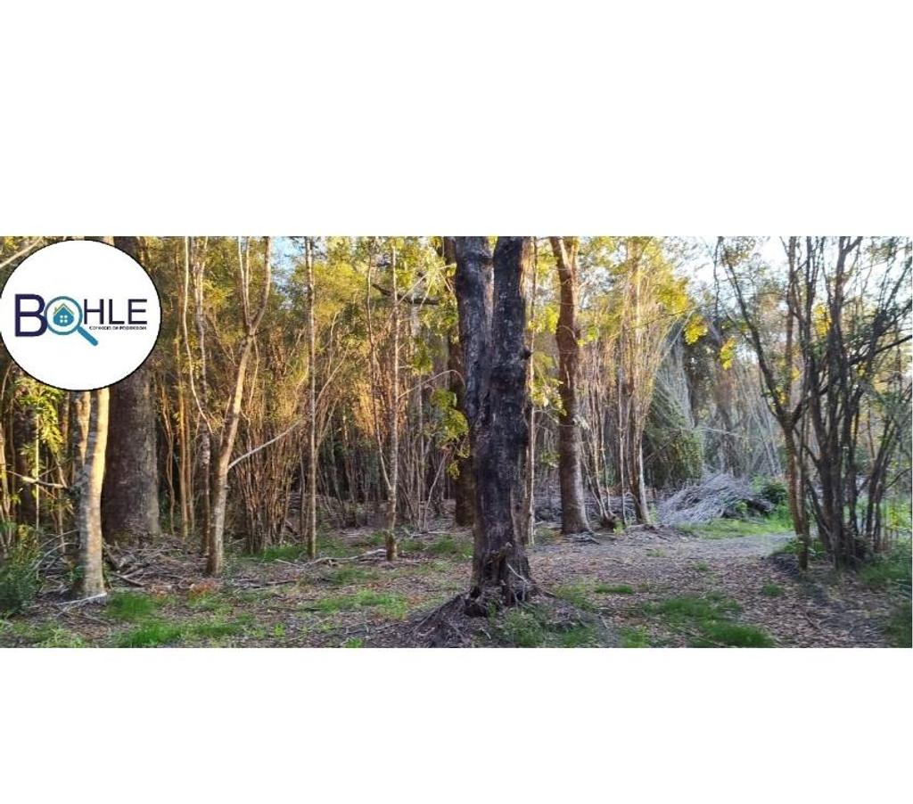 Parcelas en Venta Llanquihue Puerto Varas - Fotos de Hermosa parcela de 5000m2 Camino a Ensenada, Puerto Varas