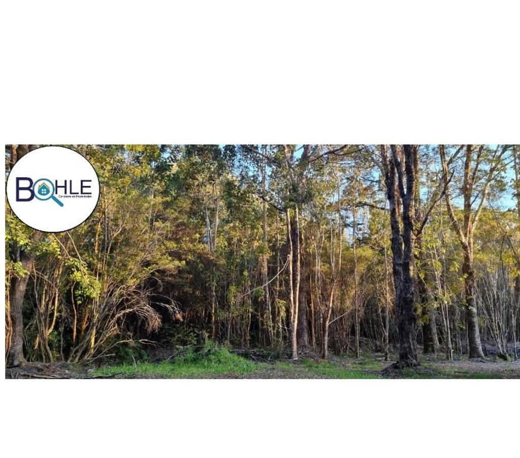 Parcelas en Venta Llanquihue Puerto Varas - Fotos de Hermosa parcela de 5000m2 Camino a Ensenada, Puerto Varas