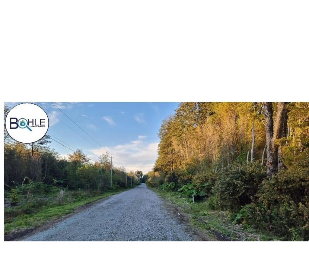 Parcelas en Venta Llanquihue Puerto Varas - Fotos de Hermosa parcela de 5000m2 Camino a Ensenada, Puerto Varas