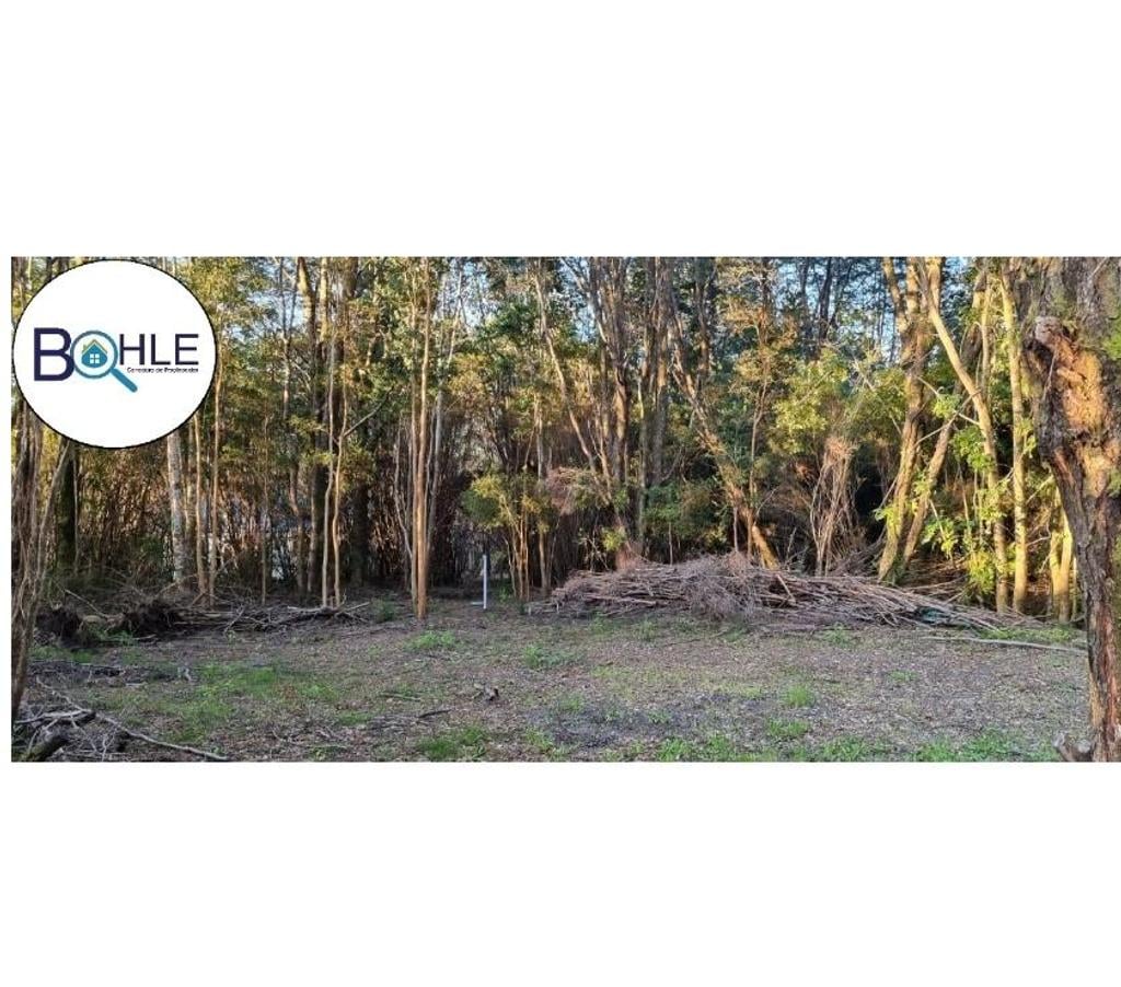 Parcelas en Venta Llanquihue Puerto Varas - Fotos de Hermosa parcela de 5000m2 Camino a Ensenada, Puerto Varas