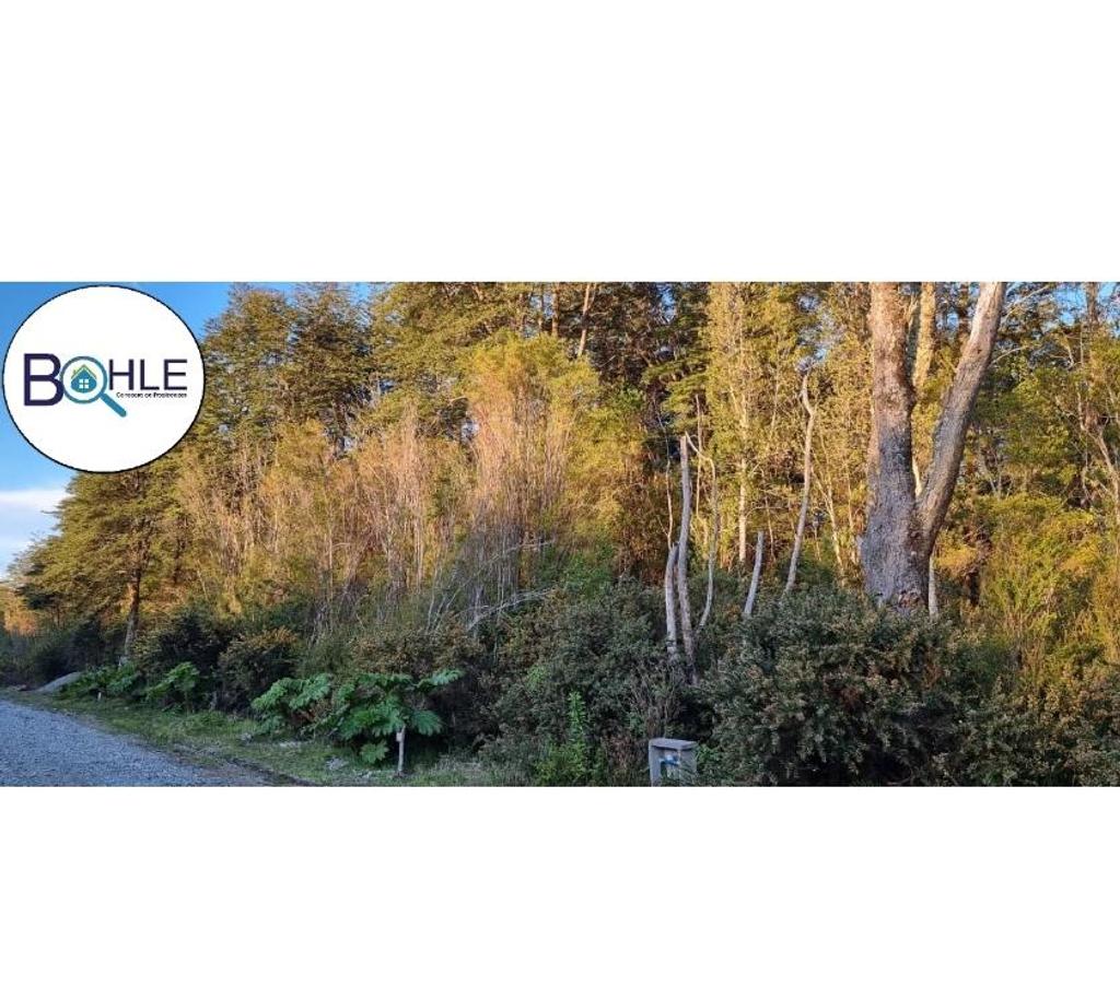 Parcelas en Venta Llanquihue Puerto Varas - Fotos de Hermosa parcela de 5000m2 Camino a Ensenada, Puerto Varas