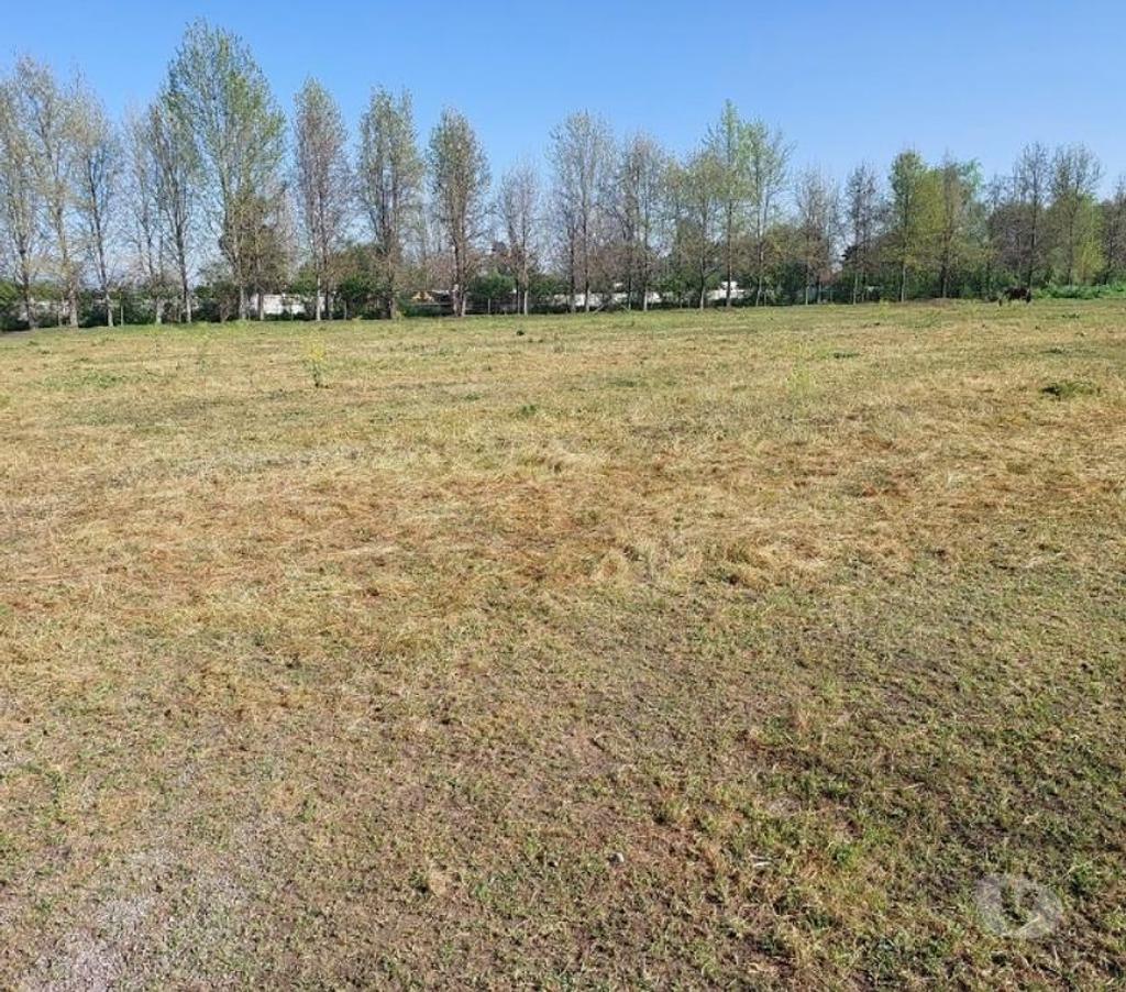 Parcelas en Venta Maipo Paine - Fotos de Parcela de 5.000 m2 en Colonia Kennedy.