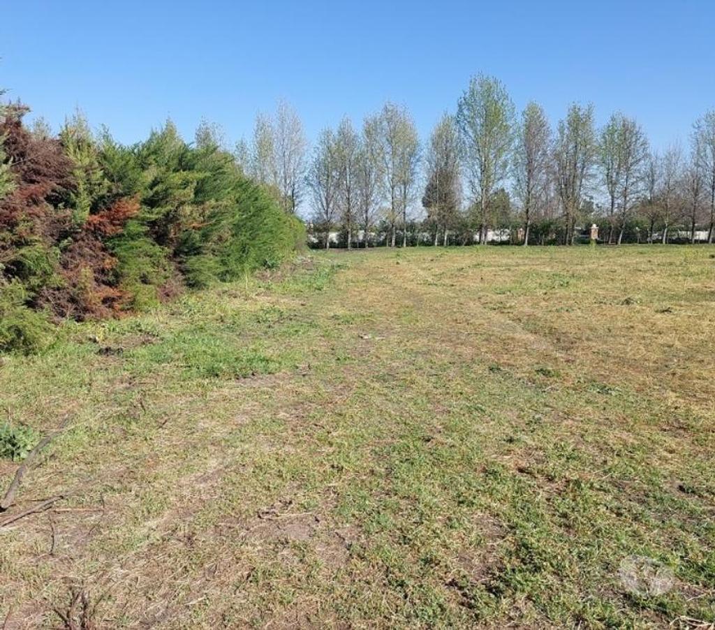 Parcelas en Venta Maipo Paine - Fotos de Parcela de 5.000 m2 en Colonia Kennedy.