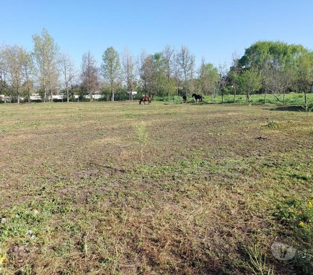 Parcelas en Venta Maipo Paine - Fotos de Parcela de 5.000 m2 en Colonia Kennedy.