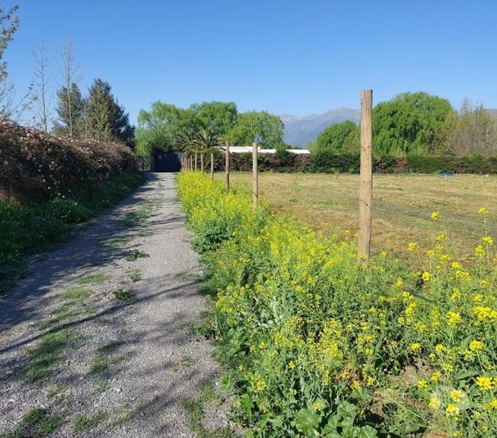 Parcelas en Venta Maipo Paine - Fotos de Parcela de 5.000 m2 en Colonia Kennedy.