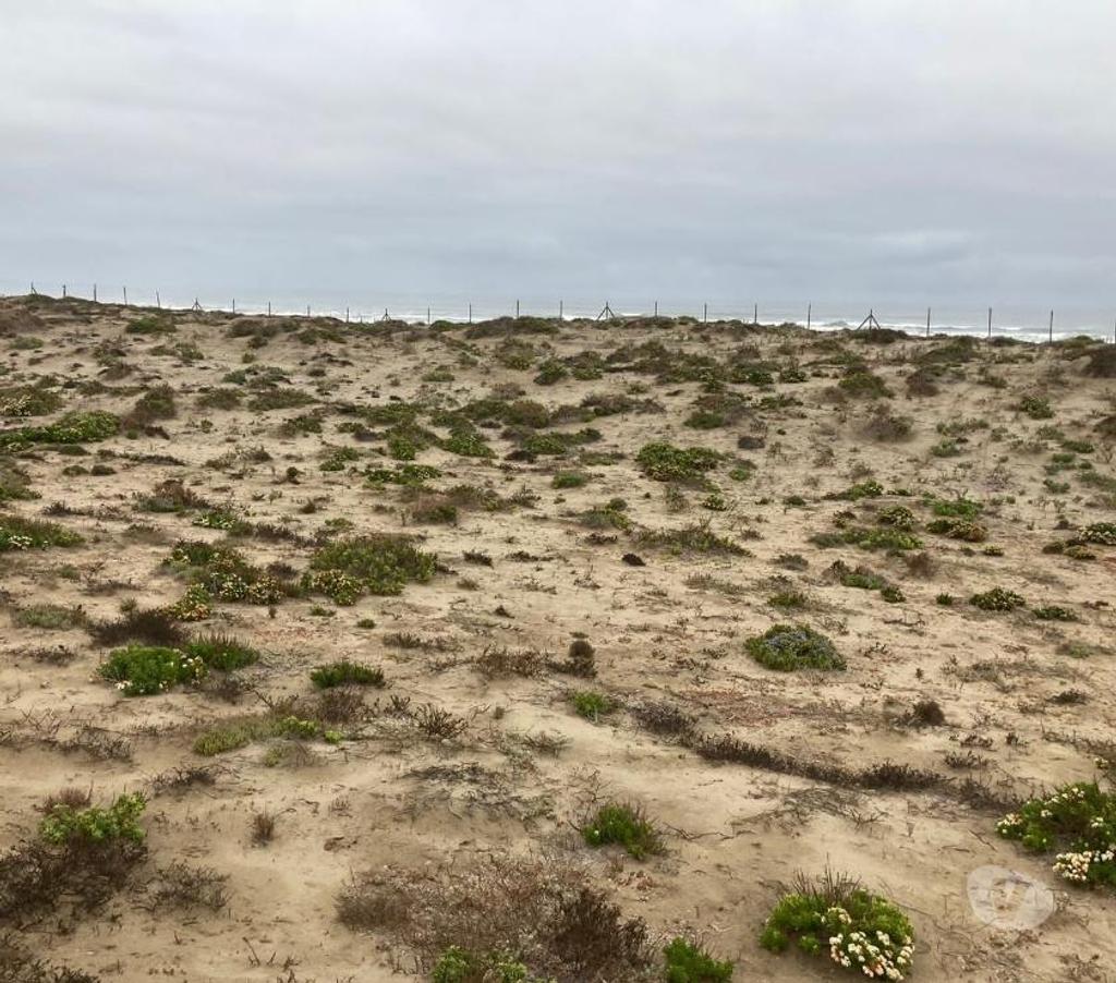 Parcelas en Venta Elqui La Higuera - Fotos de Se vende Parcela de 10.000m2 en Playa Grande los Choros