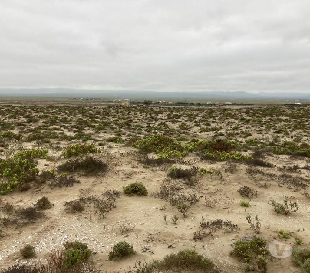 Parcelas en Venta Elqui La Higuera - Fotos de Se vende Parcela de 10.000m2 en Playa Grande los Choros