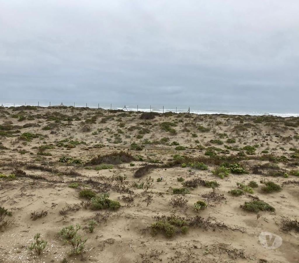 Parcelas en Venta Elqui La Higuera - Fotos de Se vende Parcela de 10.000m2 en Playa Grande los Choros