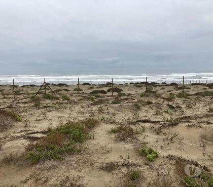Terrenos La Higuera Elqui - Fotos de Se vende Parcela de 10.000m2 en Playa Grande los Choros