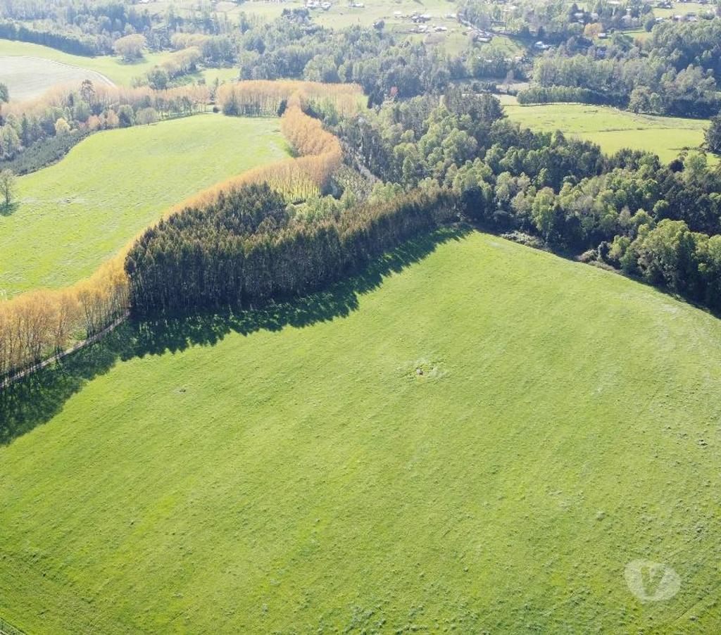 Venta de Haciendas Valdivia Los Lagos - Fotos de 348 hectáreas productoras, Los Lagos.