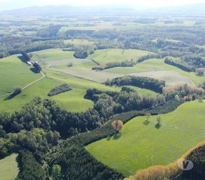 Fundos en Venta Los Lagos Valdivia - Fotos de 348 hectáreas productoras, Los Lagos.