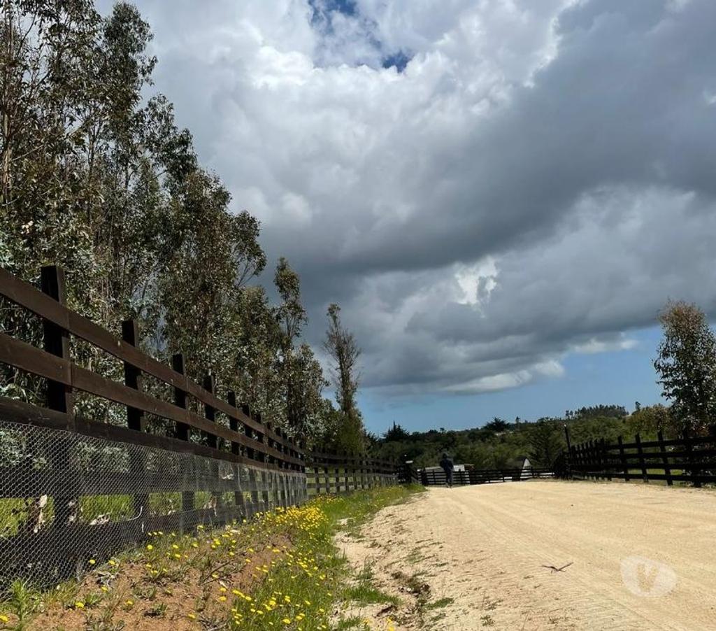 Parcelas en Venta Cardenal Caro Navidad - Fotos de Tu Refugio Soñado a Solo 10 km del Océano