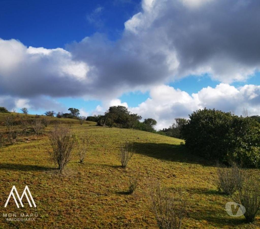Parcelas en Venta Cardenal Caro Navidad - Fotos de Tu Refugio Soñado a Solo 10 km del Océano
