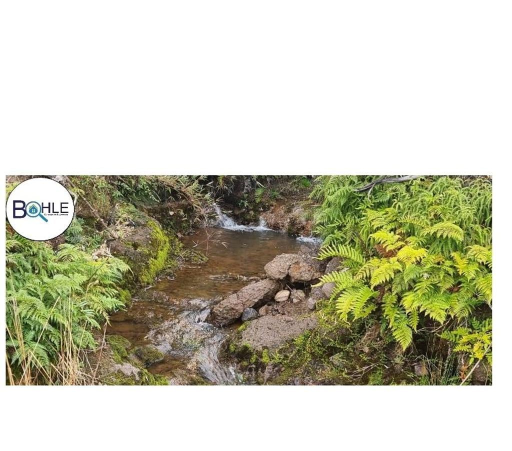 Parcelas en Venta Llanquihue Puerto Varas - Fotos de VENDO PARCELAS EN COLONIA RIO SUR