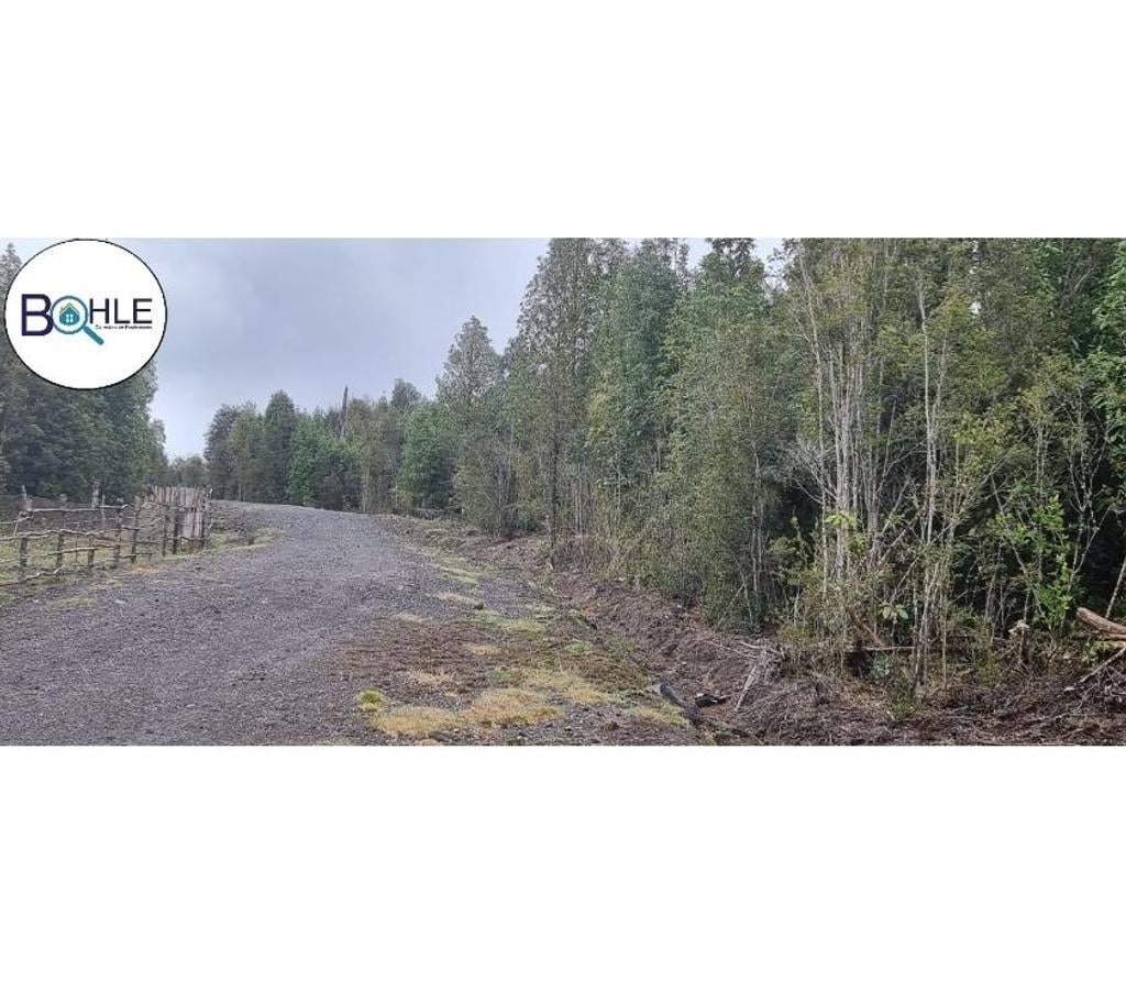 Parcelas en Venta Llanquihue Puerto Varas - Fotos de VENDO PARCELAS EN COLONIA RIO SUR