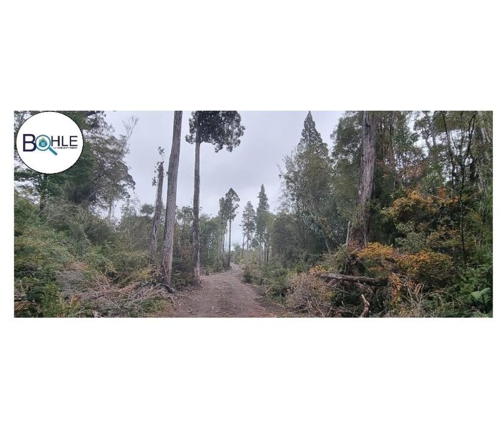 Parcelas en Venta Llanquihue Puerto Varas - Fotos de VENDO PARCELAS EN COLONIA RIO SUR