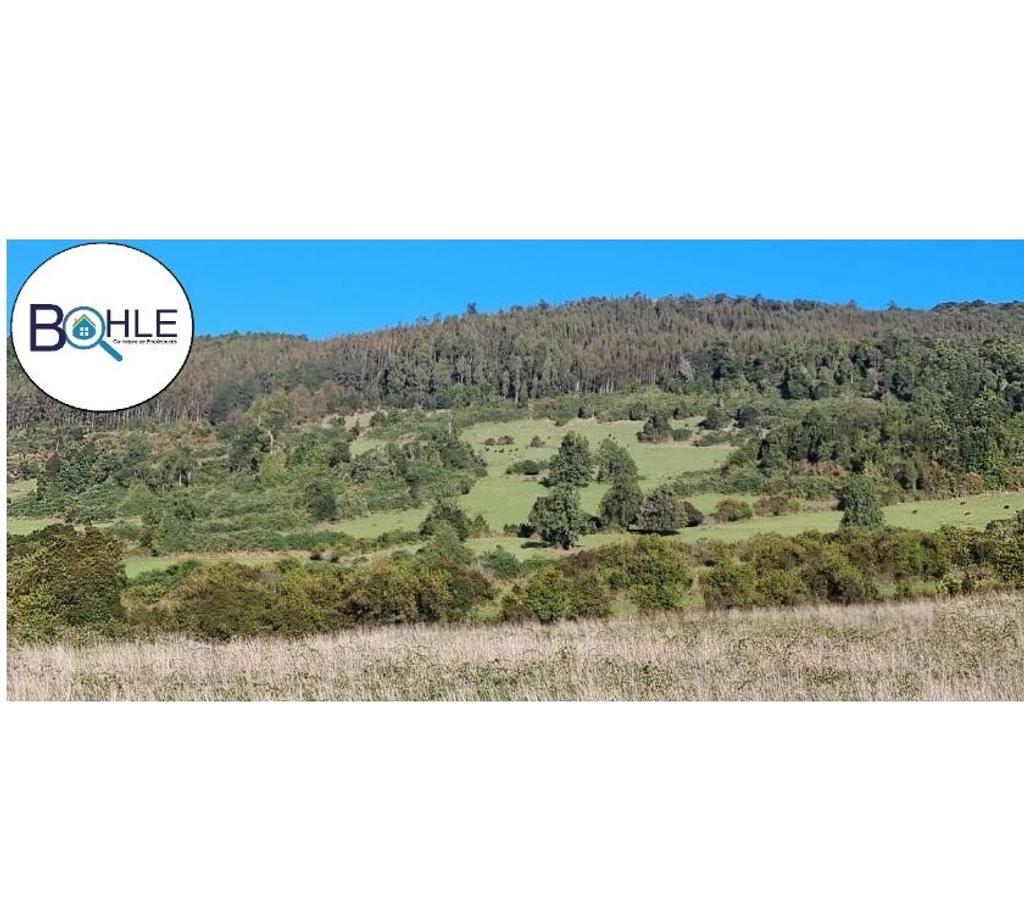 Parcelas en Venta Llanquihue Puerto Varas - Fotos de Vendo Parcelas de 5000 m2 en sector Los Riscos