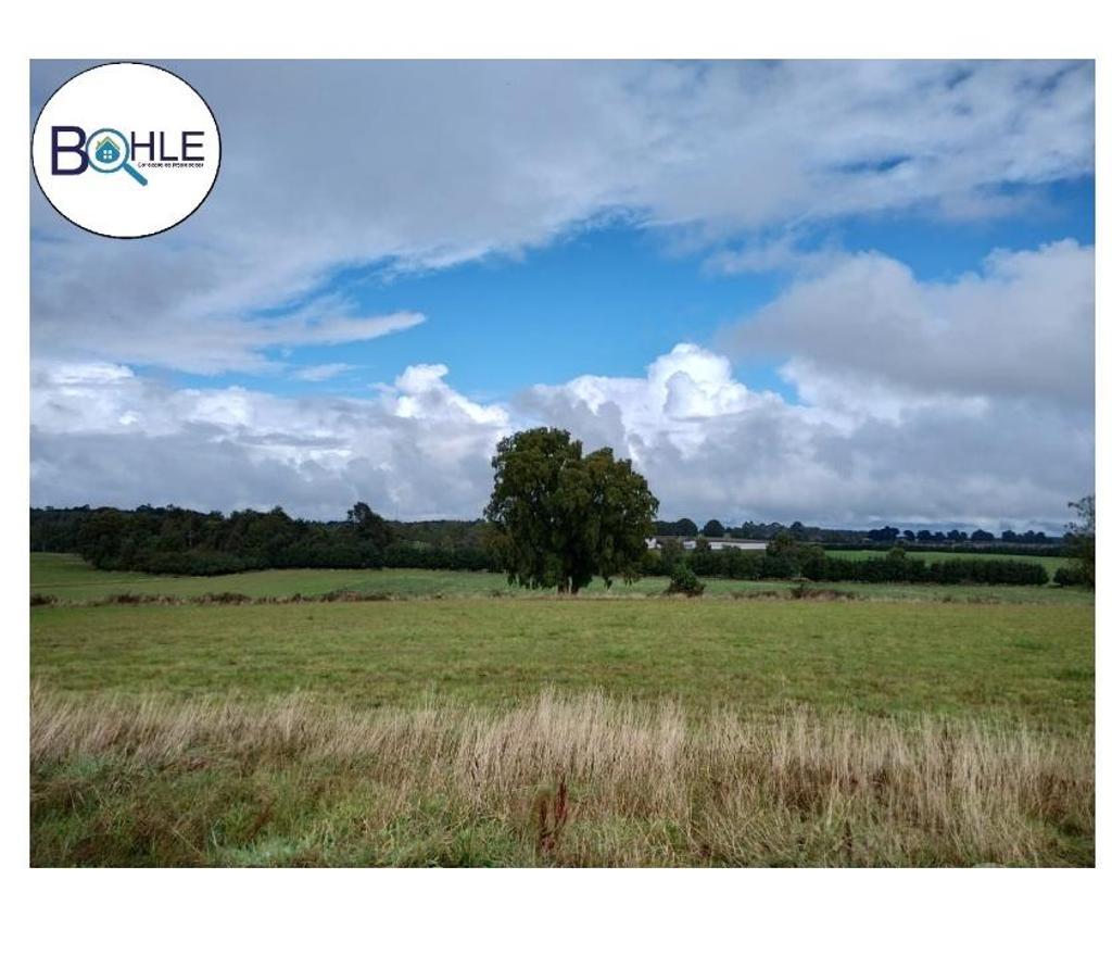 Parcelas en Venta Llanquihue Puerto Varas - Fotos de PARCELACIÓN EN NUEVA BRAUNAU
