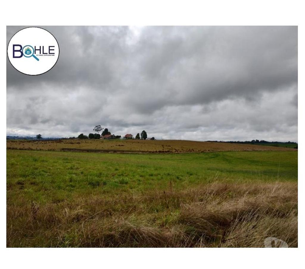Parcelas en Venta Llanquihue Puerto Varas - Fotos de PARCELACIÓN EN NUEVA BRAUNAU