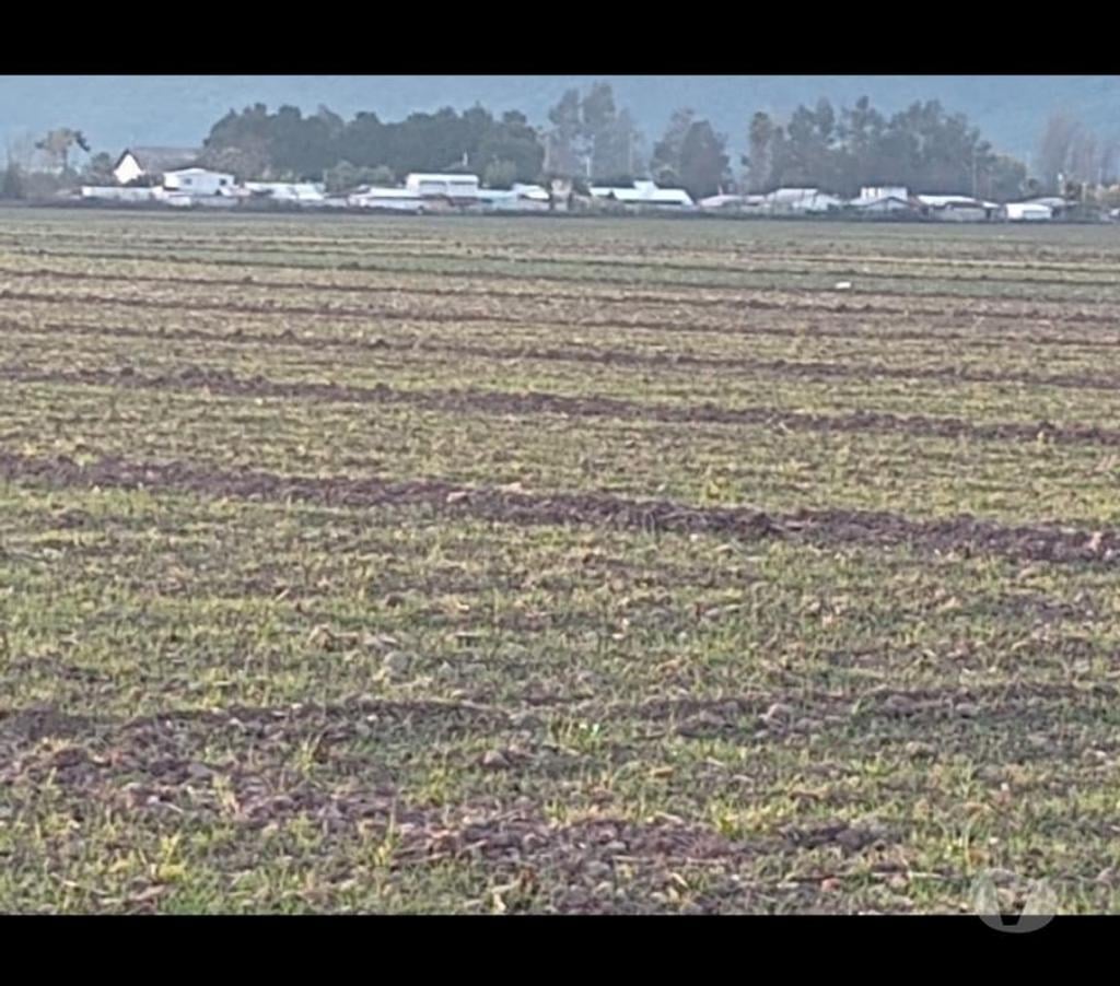 Venta de Haciendas Colchagua Chimbarongo - Fotos de VENDO 30 HECTÁREAS URBANAS