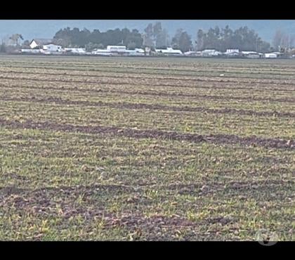 Venta de Campos Chimbarongo Colchagua - Fotos de VENDO 30 HECTÁREAS URBANAS