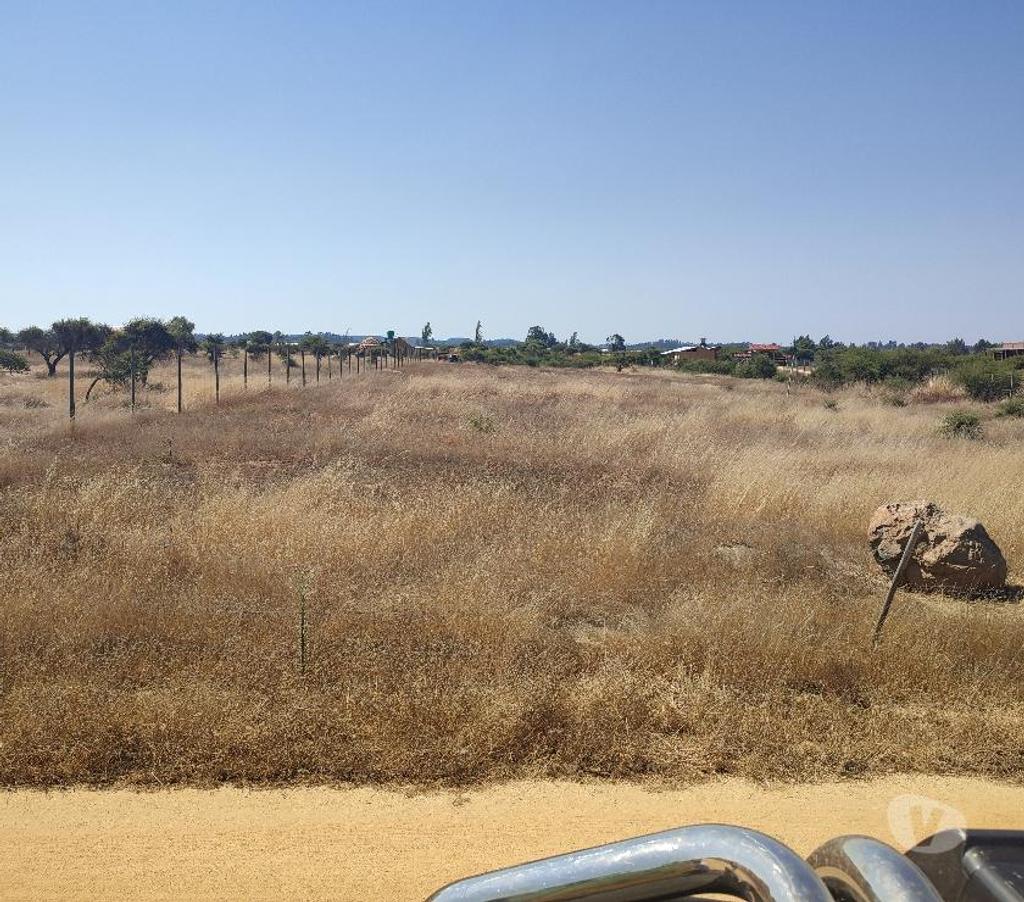 Parcelas en Venta Cardenal Caro Litueche - Fotos de venta de parcela