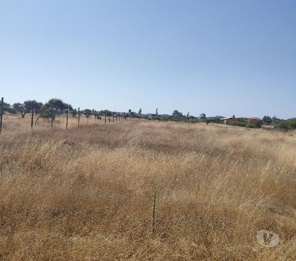 Parcelas en Venta Cardenal Caro Litueche - Fotos de venta de parcela