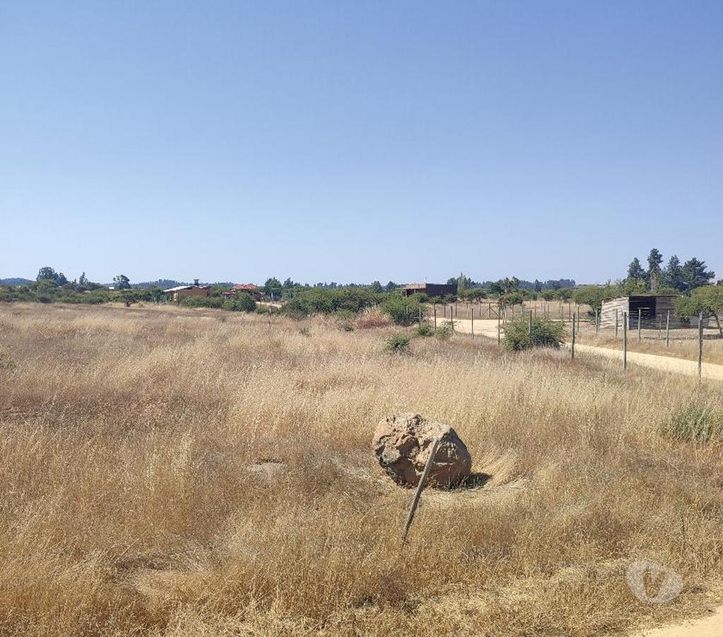 Parcelas en Venta Cardenal Caro Litueche - Fotos de venta de parcela