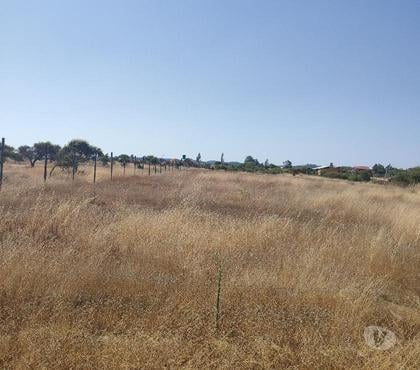 Terrenos en Venta Litueche Cardenal Caro - Fotos de venta de parcela
