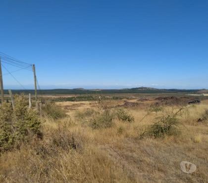 Venta de Campos Cauquenes Cauquenes - Fotos de GRAN PREDIO AGRÍCOLA - FORESTAL