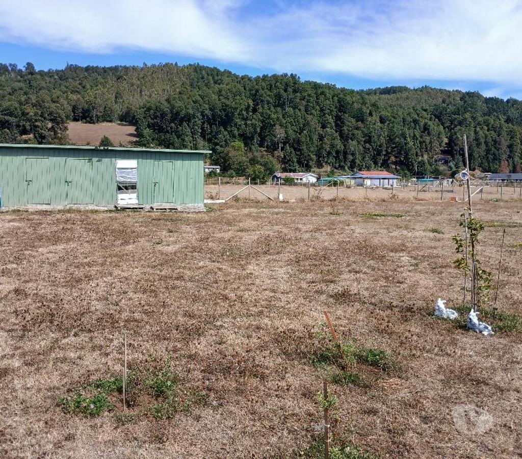 Bienes Raices Cautín Loncoche - Fotos de Parcela 5.000 m2, Casa, Collico, Loncoche.