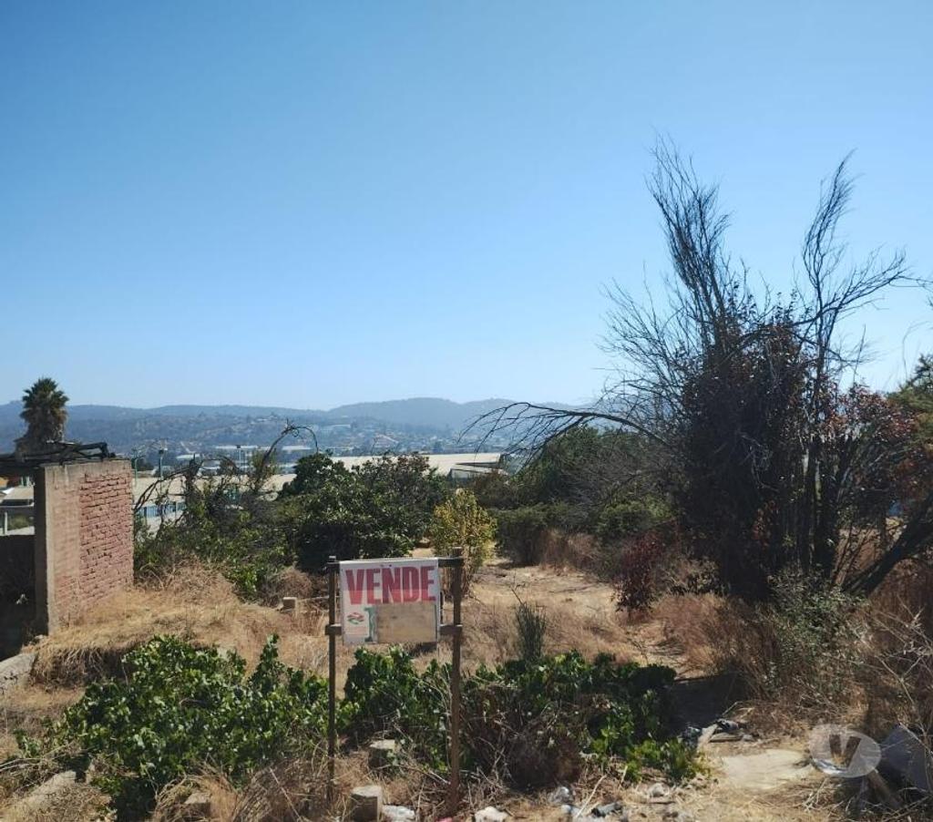 Parcelas en Venta Valparaíso Quilpué - Fotos de Central terreno 1136 m2 Quilpué