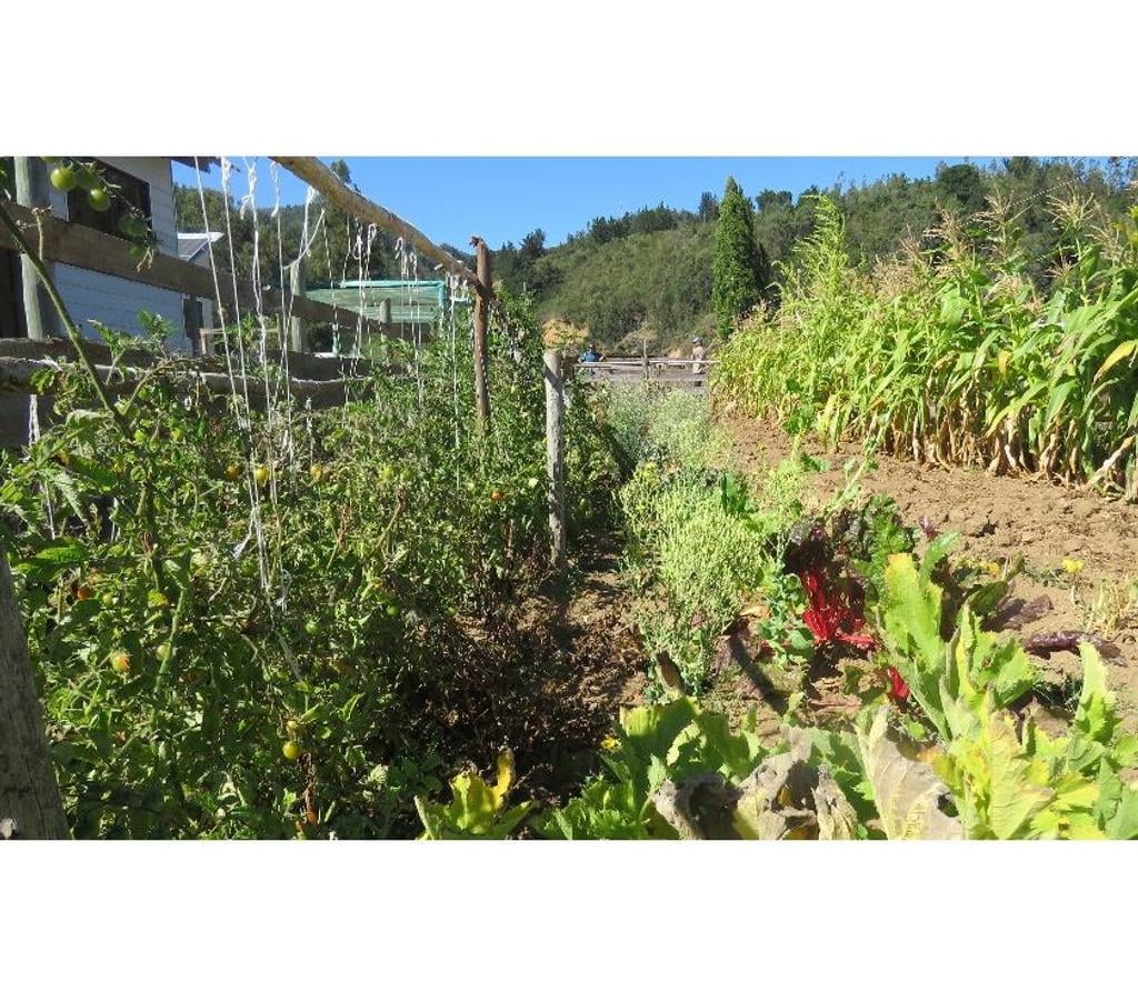 Parcelas en Venta Ñuble Cobquecura - Fotos de TALCAMAVIDA BUCHUPUREO